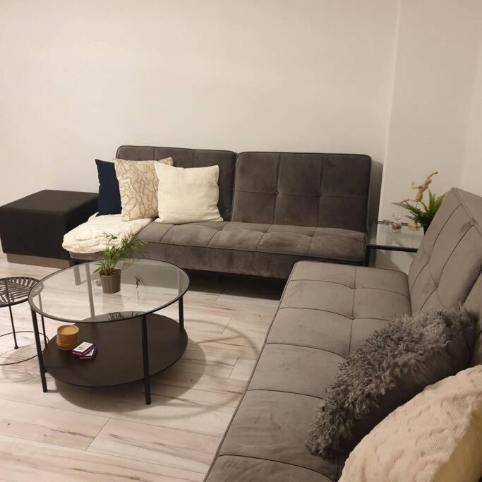 Apartment Schoene Geraeumige 3 In Heidelberg