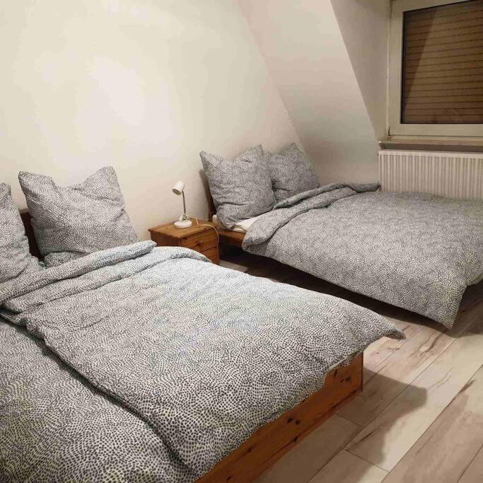 Apartment Schoene Geraeumige 3 In Heidelberg